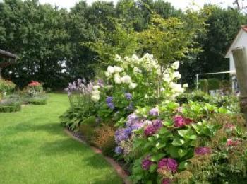 Blumenrabatte mit Hortensien